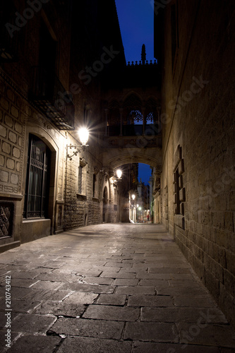 Bridge Between Buildings in Barri Gotic Quarter, Barcelona © romanslavik.com
