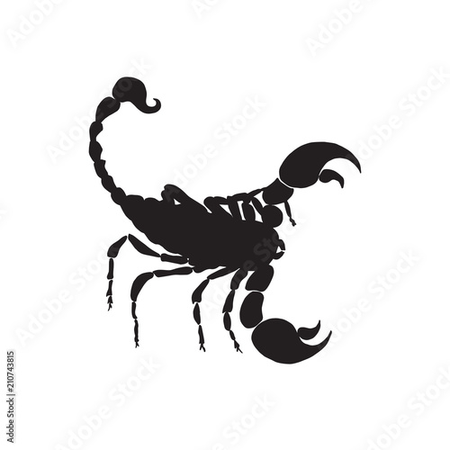 Vector scorpio black silhouette. Scorpio zodiac sign silhouette.