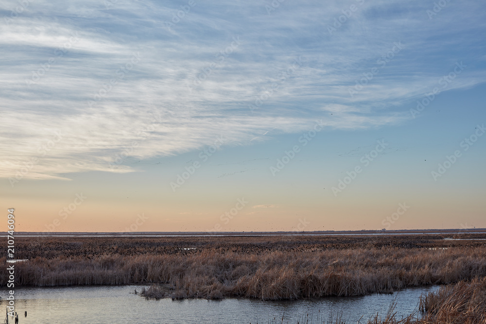 Sunset over the wetlands at Cheyenne Bottoms