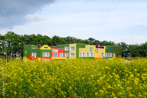 The building of a kindergarten behind a clearing of yellow flowers.