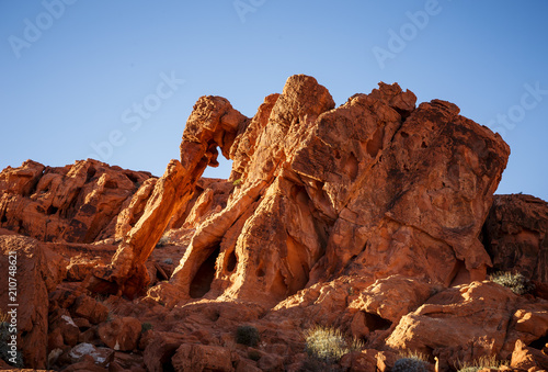 Elephant rock in Valley of Fire, Nevada