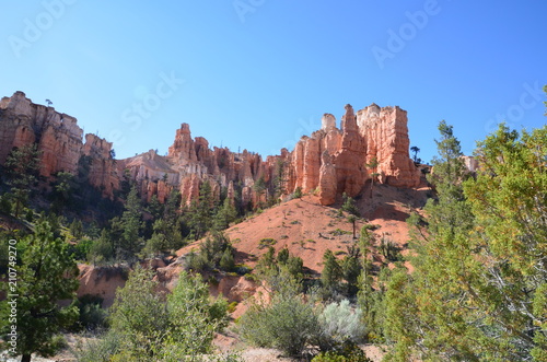 Desert landscape