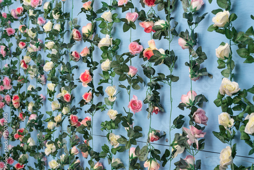 Valokuva Strings of pink and white artificial roses hanging against a wall painted baby blue