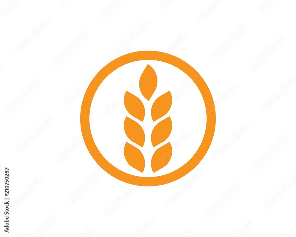 wheat Logo Template wheat Logo Template