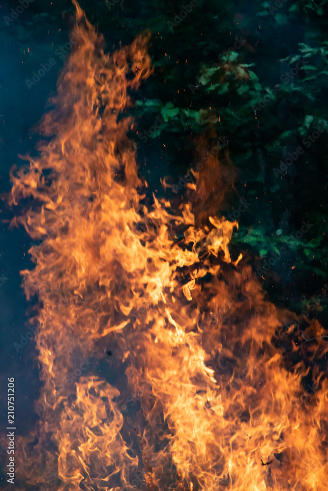 Large bonfire flames in green forest at dusk