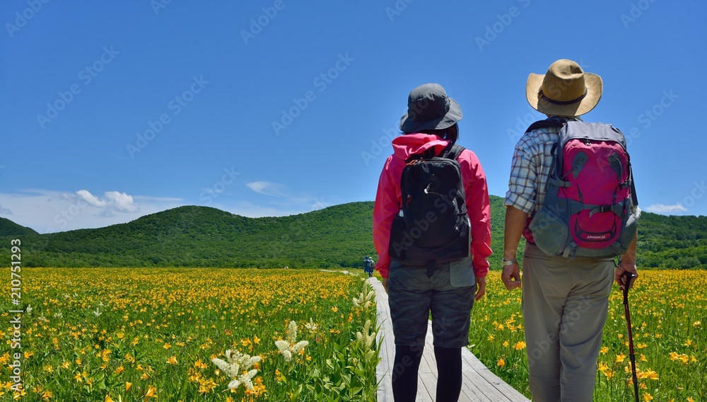 高原の花園を歩くカップル