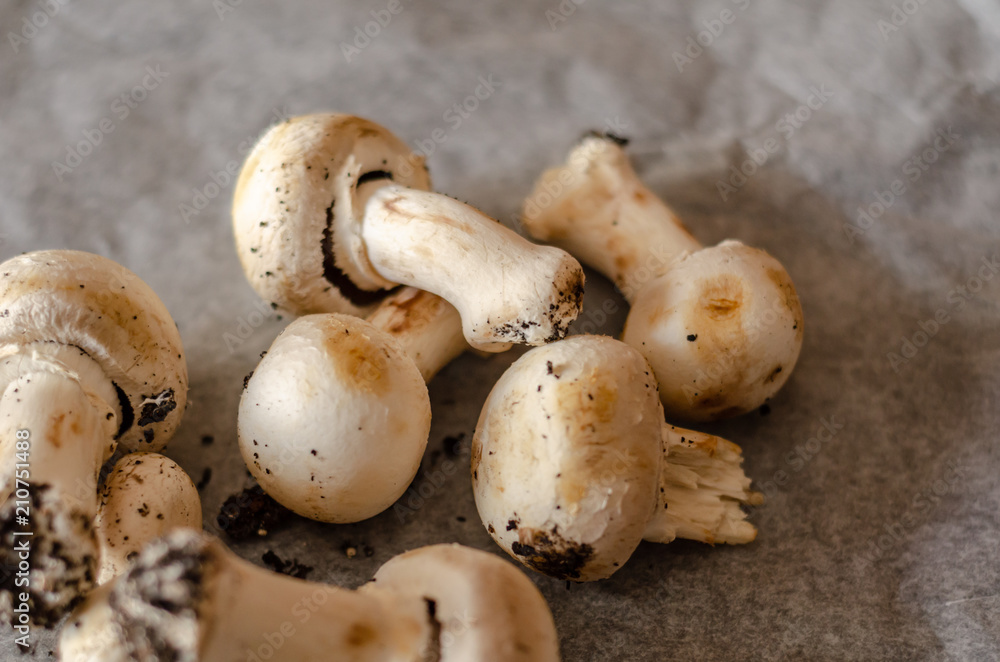 Fototapeta premium freshly harvested dirty mushrooms spread on paper, raw and healthy vegetables