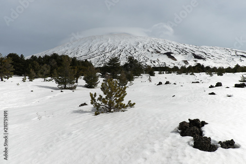 Winter Landscape Fiera Plateau In Etna Park, Sicily