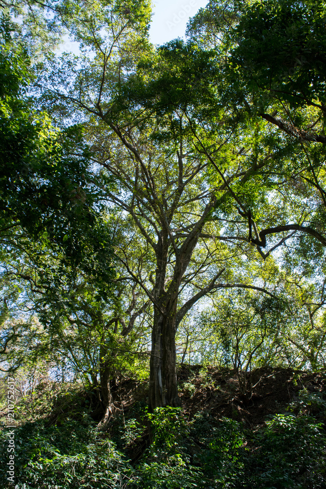 Obraz premium la maria