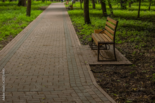summer outdoor park nature environment with empty concrete road and wooden bench with nobody © Артём Князь