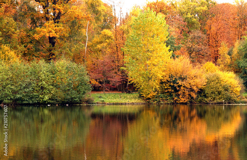 étang en forêt en automne
