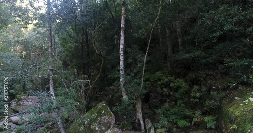 Surrounded by tall evergreen gum trees on slopes of deep creek with stream of Somersby falls in wide panorama inside the woods.
 photo