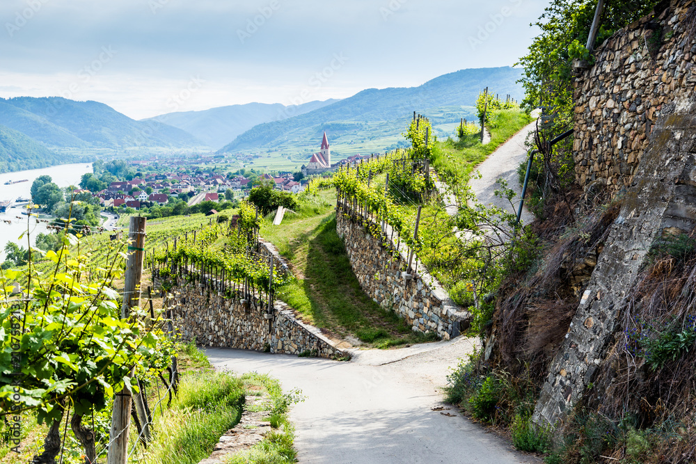 Scenic View into the Wachau with the river Danube and town Weissenkirchen in Lower Austria.