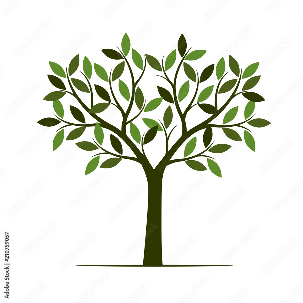 Obraz premium Green summer Tree. Vector Illustration.