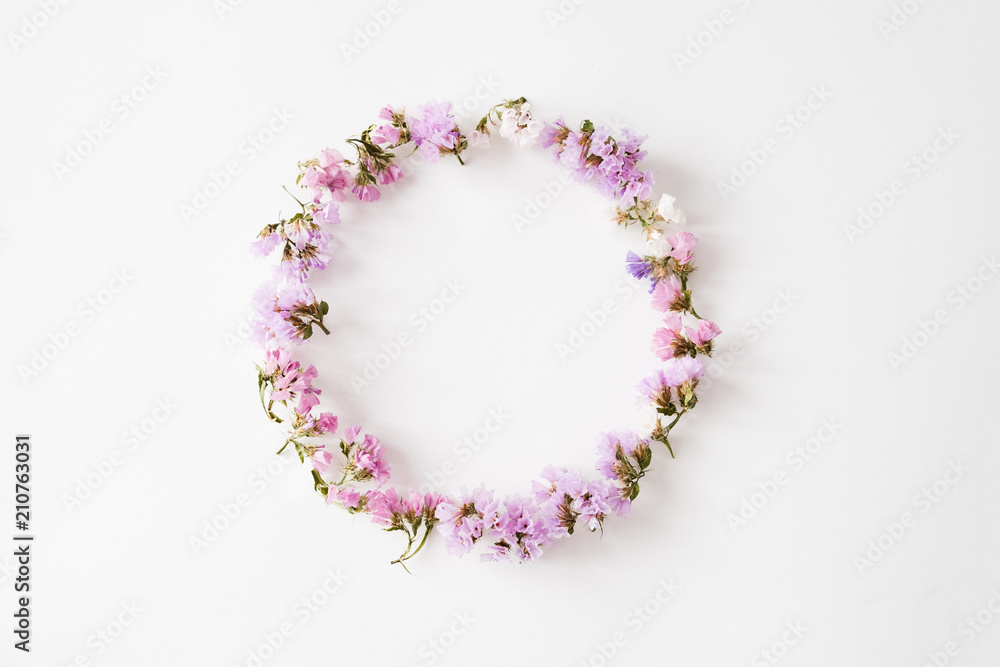 Dry flowers on white background, round frame, flat lay, top view