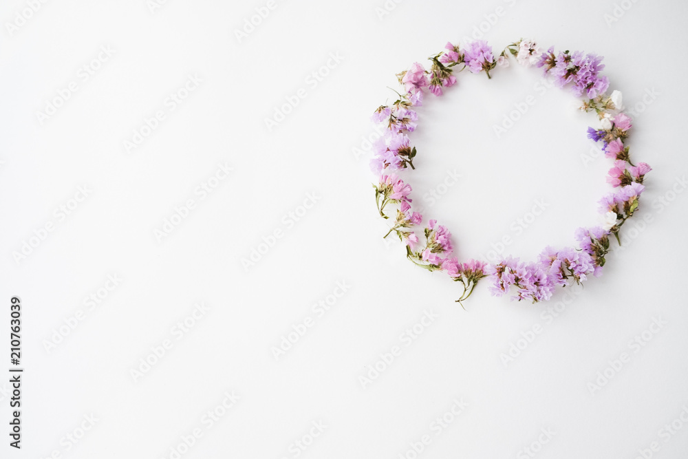 Dry flowers on white background, flat lay, top view