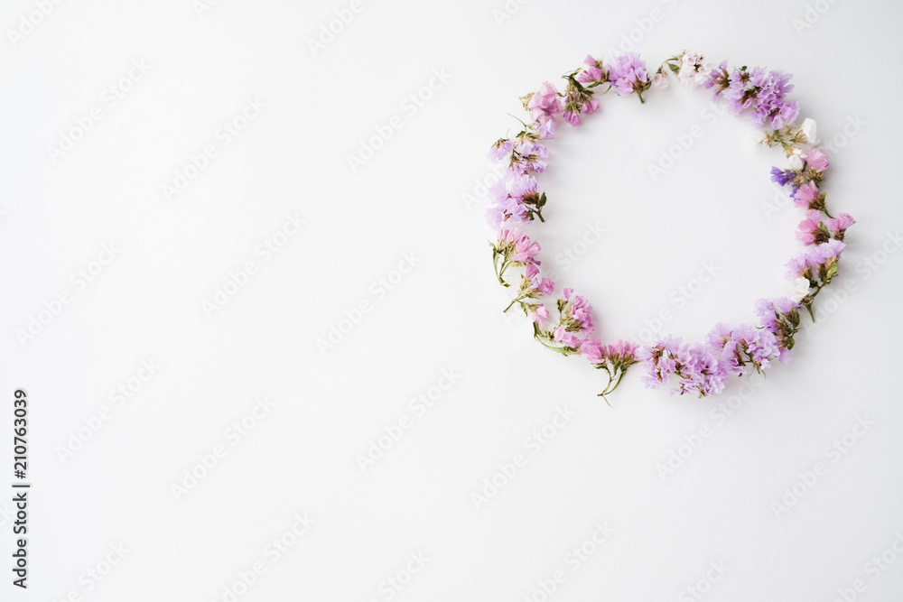 Dry flowers on white background, flat lay, top view Dry flowers on white background, flat lay, top view
