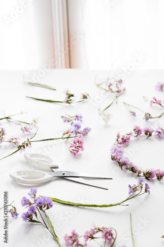Dry flowers and a scissor on a table, flat lay, top view