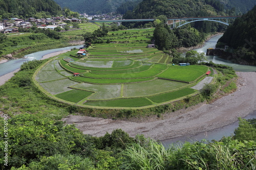 Fototapeta kuchenna 棚田百選 あらぎ島
