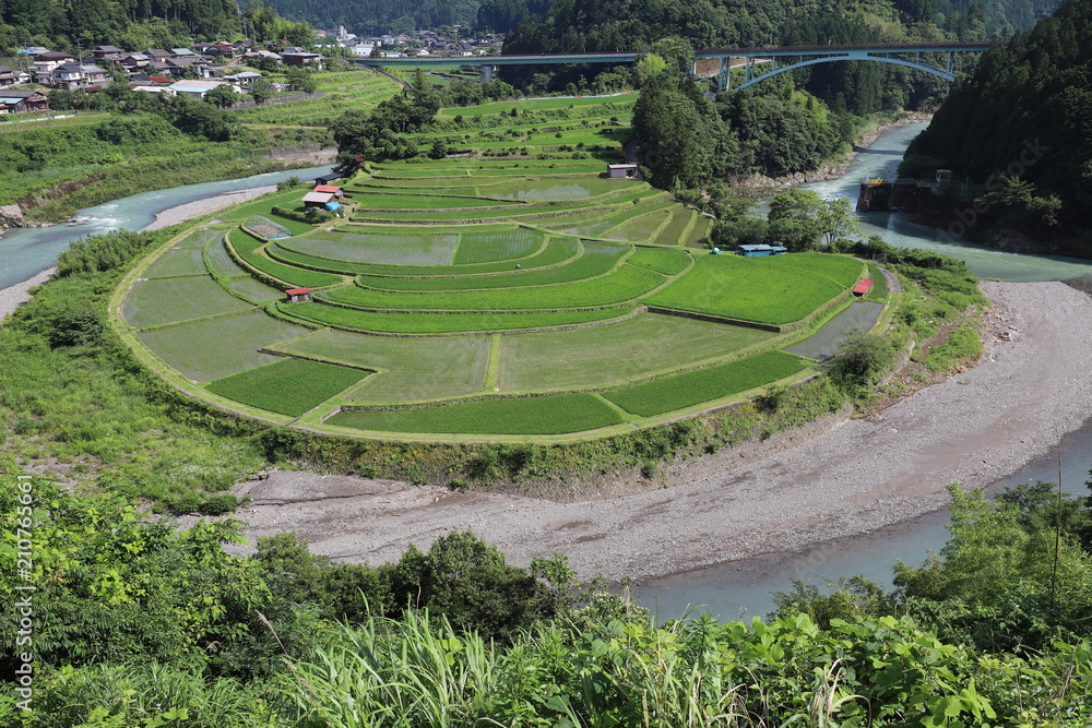 棚田百選　あらぎ島