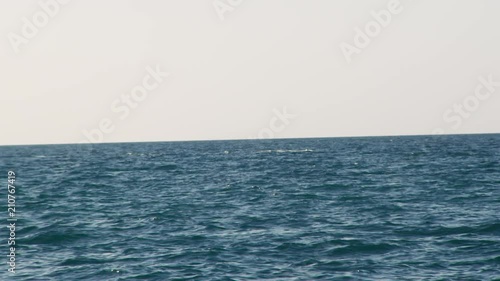 A shaky shot of the blue waters of the ocean as a whale swims near the surface water.
