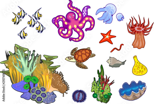 Set of different marine inhabitants isolated on white background