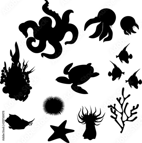 Set of black silhouettes of different marine animals