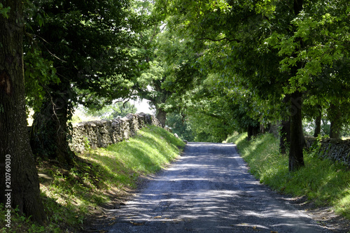 Country lane in rural Virginia
