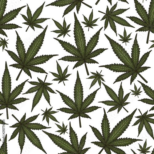 Marijuana leaves seamless vector pattern. Cannabis background.