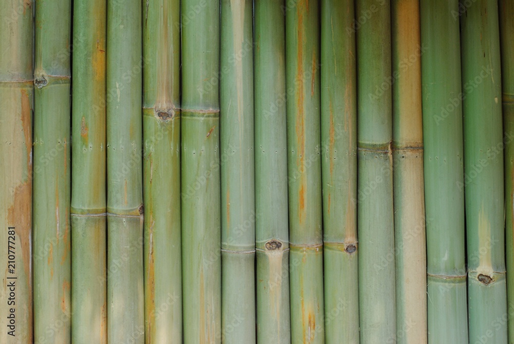 bamboo wall background texture pattern brown nature garden house wallpaper line
bamboo wall background texture pattern brown nature garden house wallpaper line
