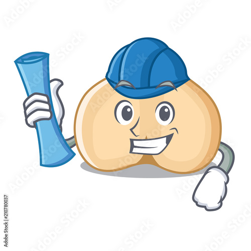Architect chickpeas character cartoon style