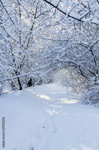 Countryside road at winter © Александр Кузнецов