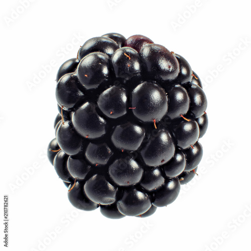 Blackberry isolated on white background.