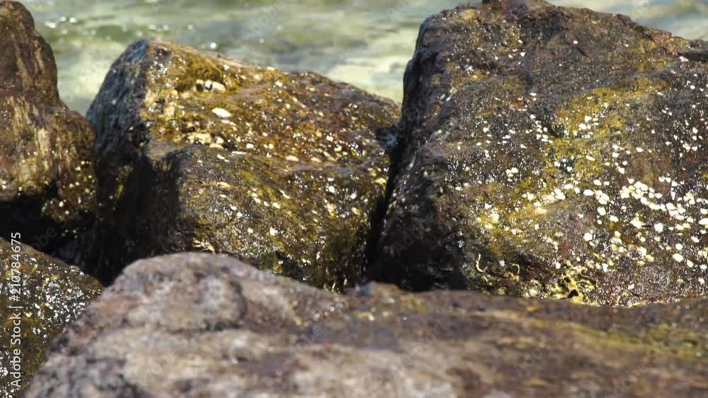 Large stones on background splashing sea waves. Ocean waves breaking with splashes on wet rocks on beachStony coast and transparent sea background. Large stones on background splashing sea waves. Ocean waves breaking with splashes on wet rocks on beachStony coast and transparent sea background.