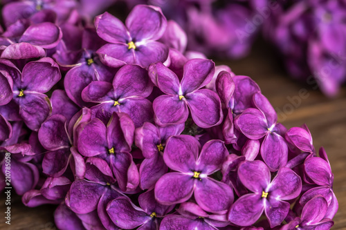 Lilac flowers macro on the wooden table with the blurred background © Александр Кузнецов