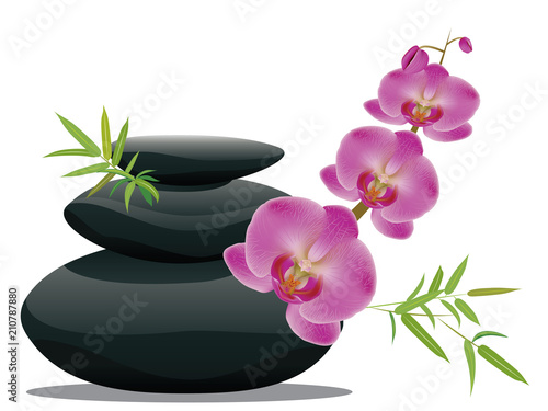 Pebbles with orchid