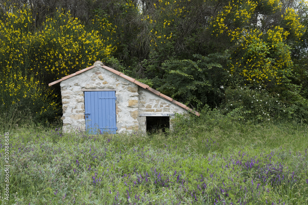 old stone shed between colorful summer flowers in french provence old stone shed between colorful summer flowers in french provence