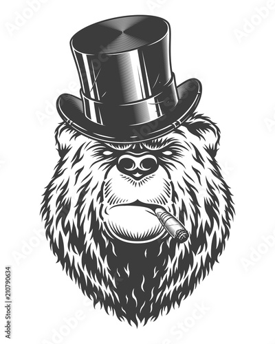 Vintage logo style bear photo