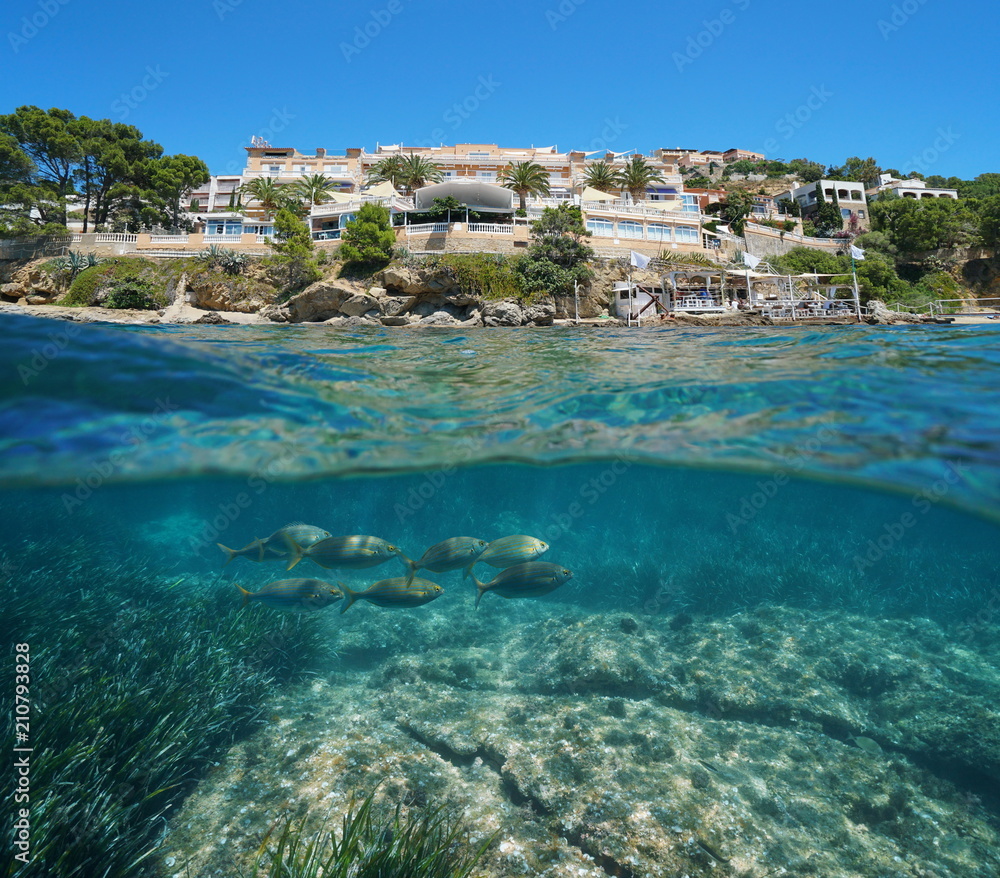 Spain Costa Brava waterfront with fish underwater, split view above and below water surface, Mediterranean sea, Roses, Catalonia, Girona
