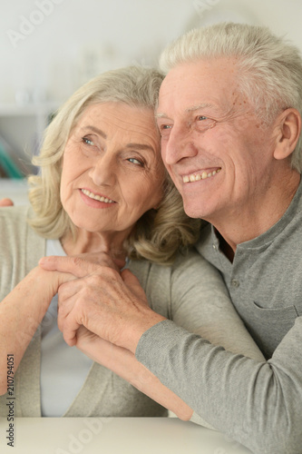 portrait of a happy senior couple