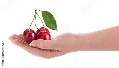 Sweet cherry berry, three on a branch with green leaf on hand © Olha