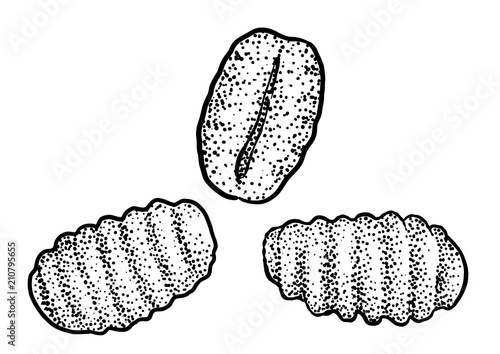 Gnocchi pasta illustration, drawing, engraving, ink, line art, vector