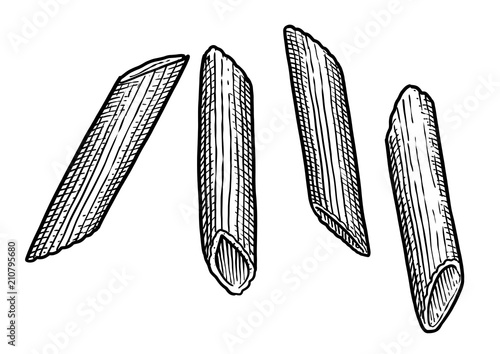Penne rigate, pasta illustration, drawing, engraving, ink, line art, vector