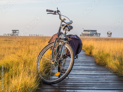 Mit dem Fahrrad an die Nordsee
