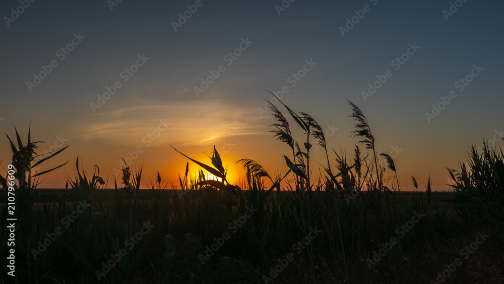 Sunset in the field Sunset in the field