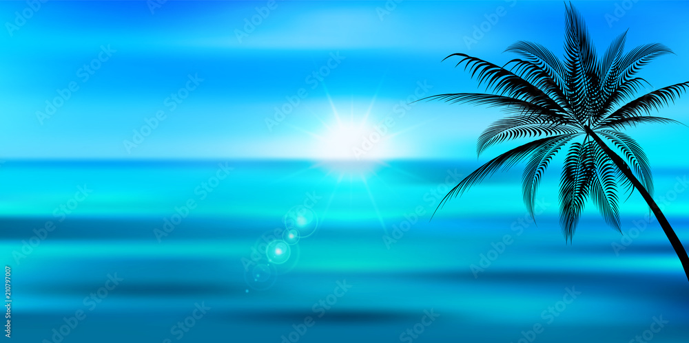 Fototapeta premium 海 夏 風景 背景 
