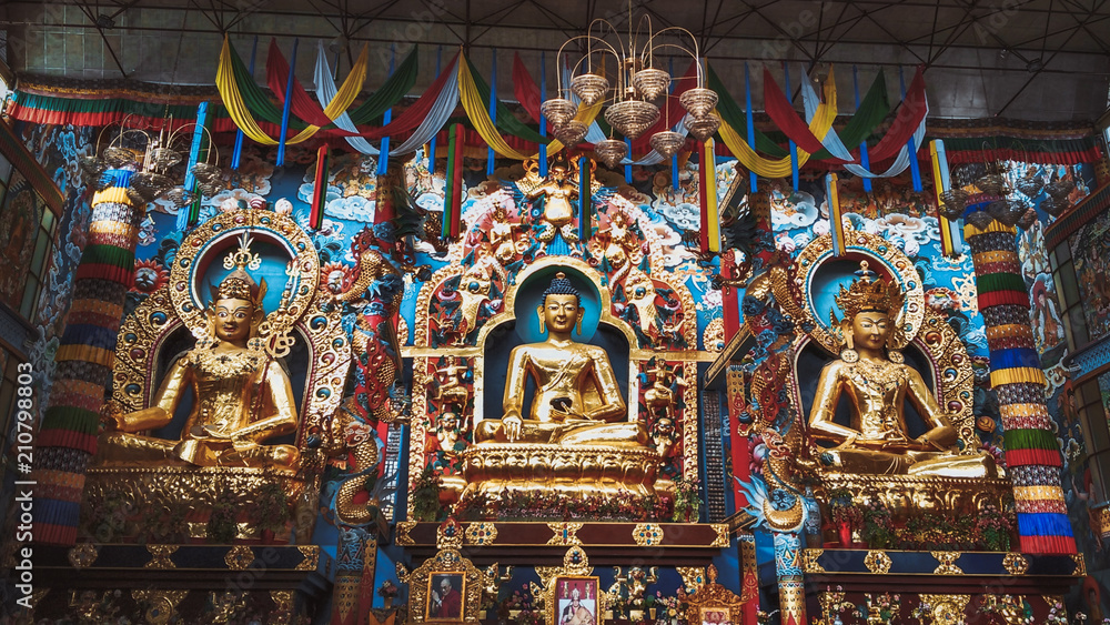 Fototapeta premium Bylekuppe near Kushalnagar 