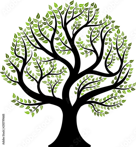 Tree isolated on white background