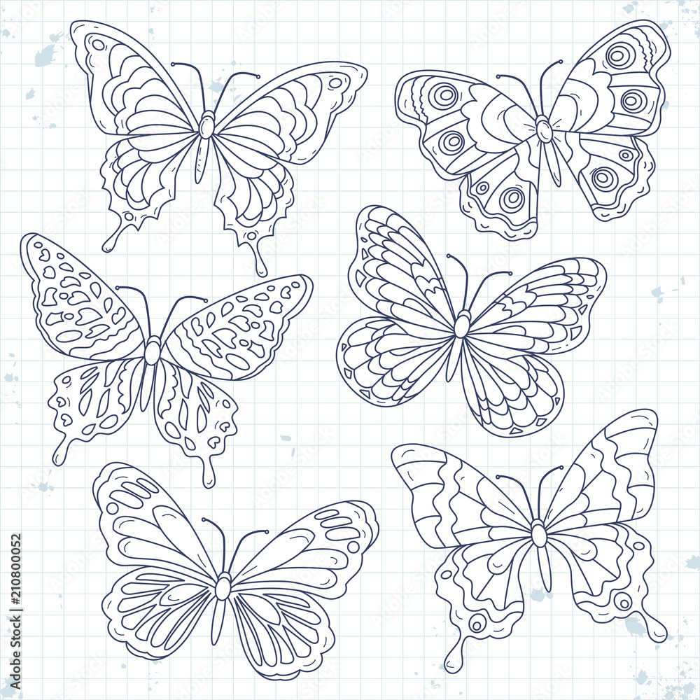Vector sketch icons, set various decorative butterflies isolated Vector sketch icons, set various decorative butterflies isolated