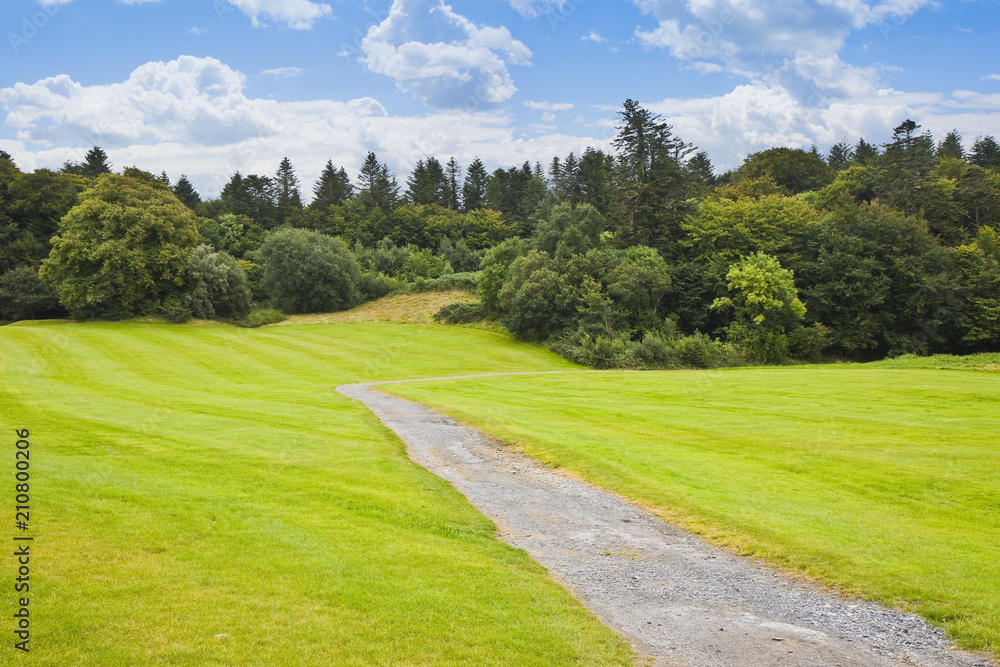 Irish landscape with meadow and forest in the background - panoramic view